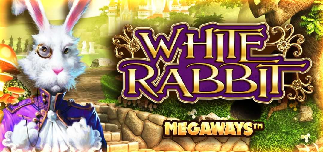 Jogo White Rabbit BTG